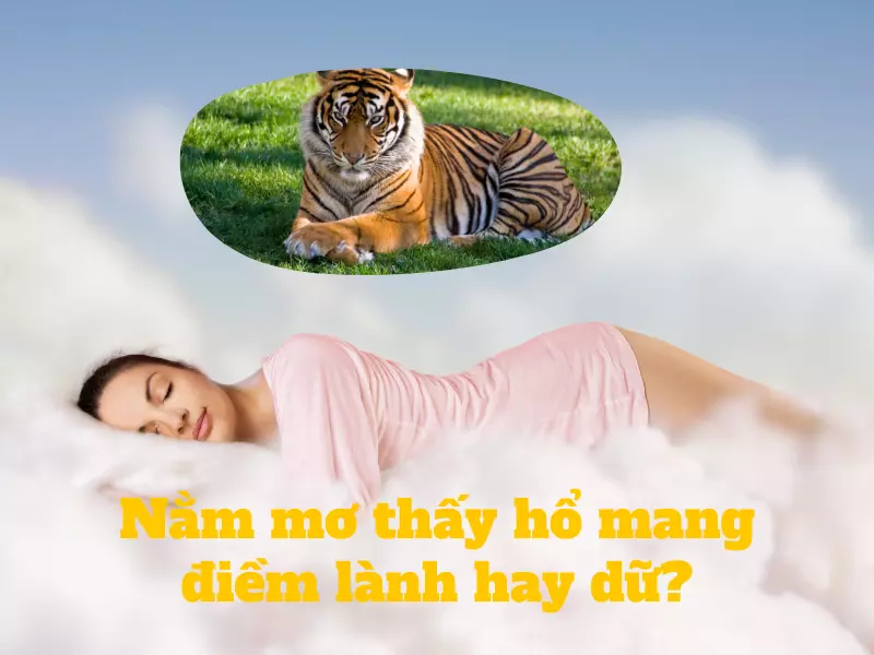 Nằm mơ thấy hổ mang lại điềm lành hay dữ?