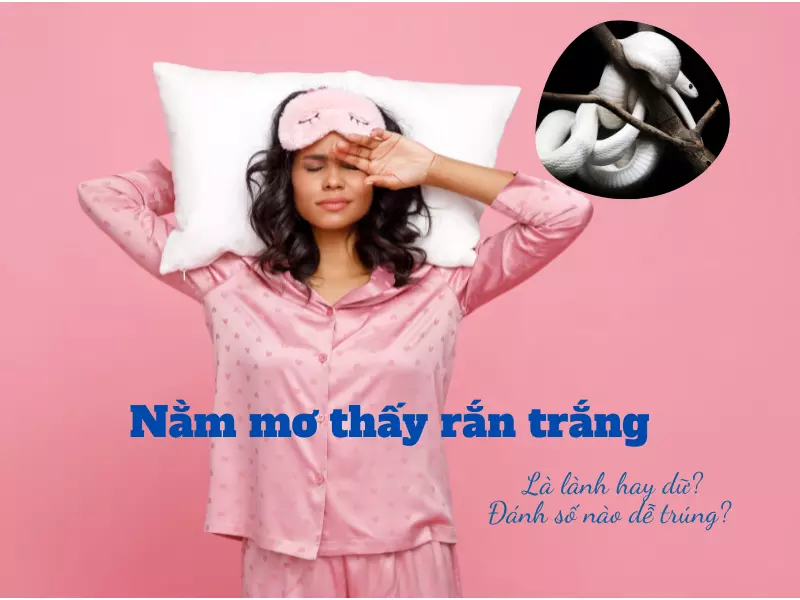 Nằm mơ thấy rắn trắng