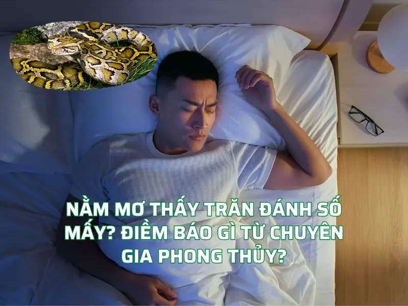 Nằm mơ thấy trăn đánh số mấy?