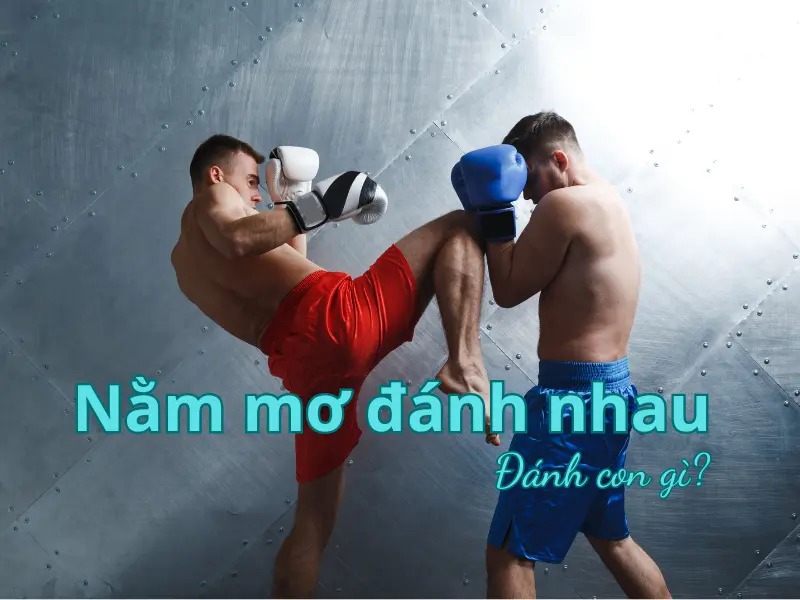mơ đánh nhau đánh con gì