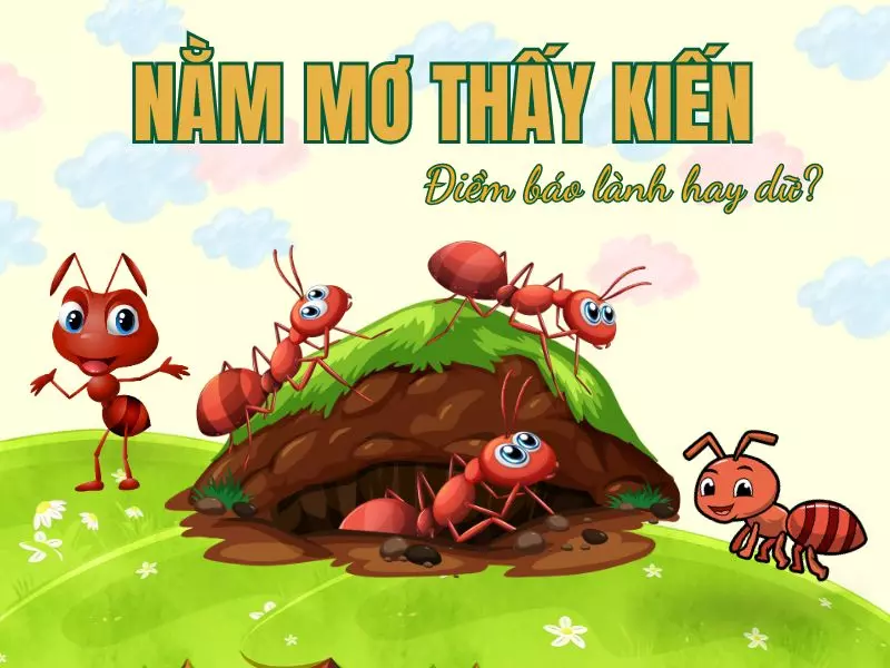 nằm mơ thấy kiến
