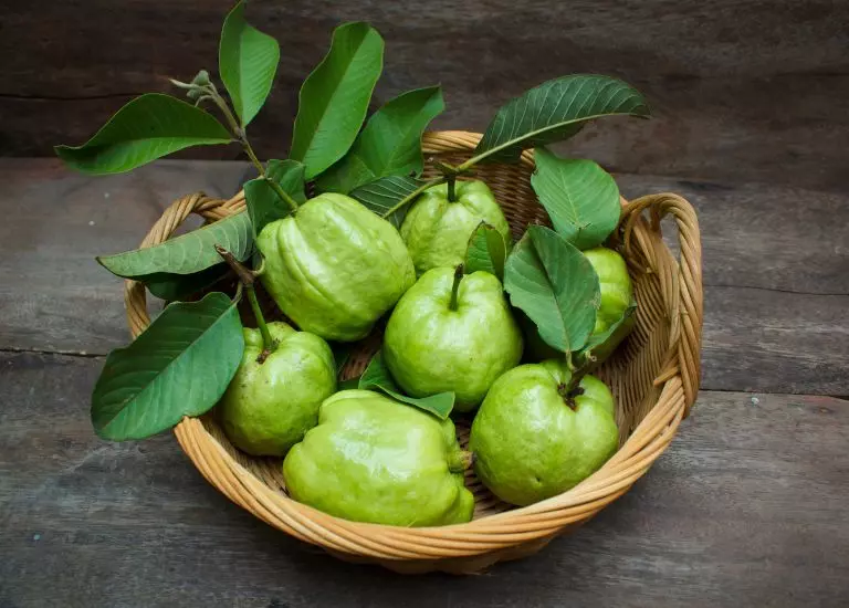 Mơ thấy cây ổi chết