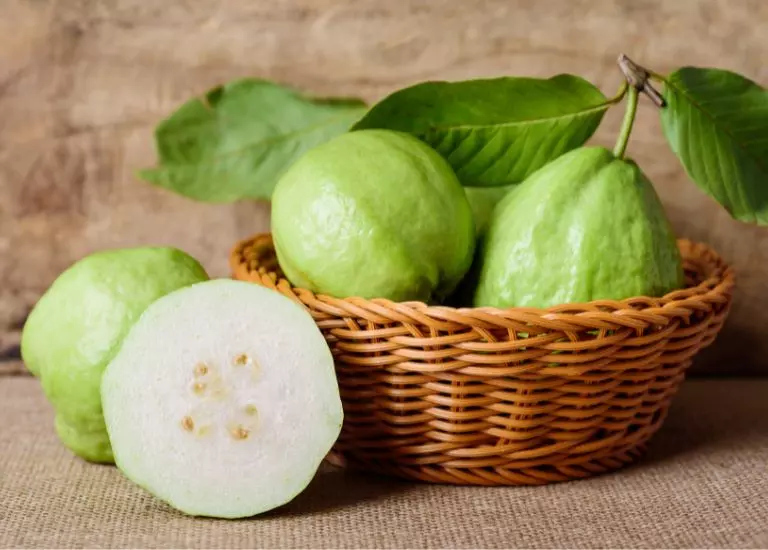 Nằm mơ thấy ổi đánh con gì trúng lớn?