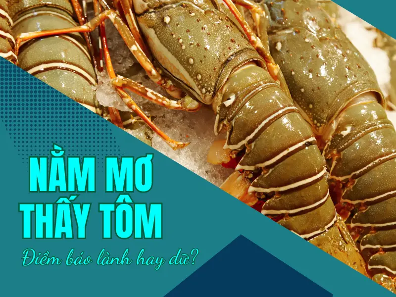 Nằm mơ thấy Tôm