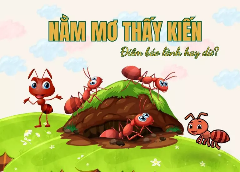 Nằm mơ thấy kiến liên quan đến con số may mắn nào? Điềm lành hay dữ?