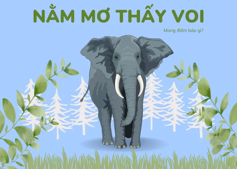 Nằm mơ thấy voi báo hiệu điềm gì? Đánh con số nào trúng lớn?