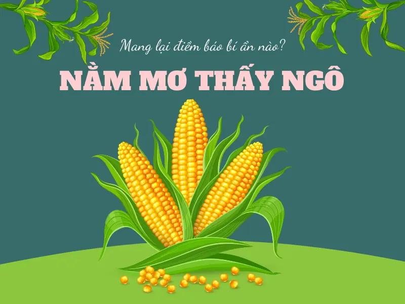nằm mơ thấy ngô