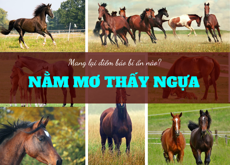 Nằm mơ thấy ngựa mang đến những điềm báo bí ẩn gì?